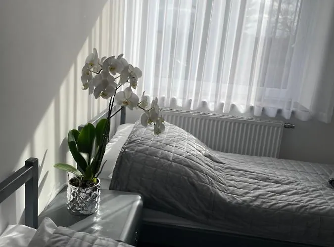 Jagodowa 15 צ'סטוצ'ובה